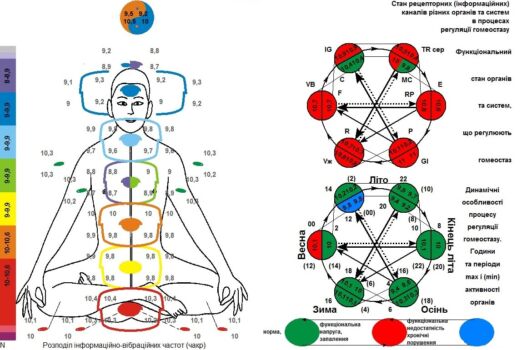 Діагностика стану чакр та меридіанів. Діагностика стану чакр та меридіанів.