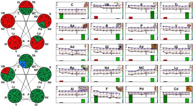 Діагностика стану інформаційних каналів Фолля. Діагностика стану інформаційних каналів Фолля.