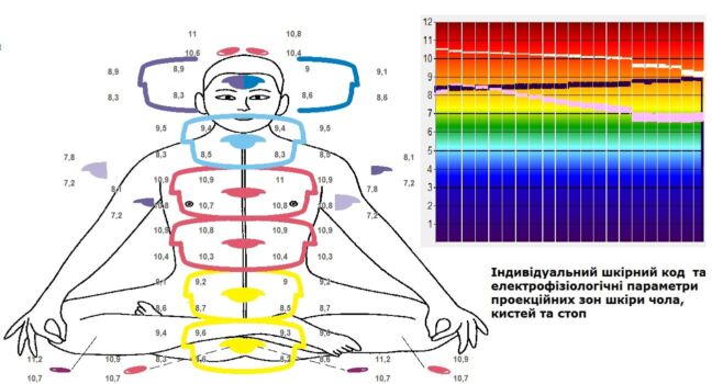 Визначення домінантного типу вегетативної регуляції на різних топографічних рівнях. Визначення домінантного типу вегетативної регуляції на різних топографічних рівнях.