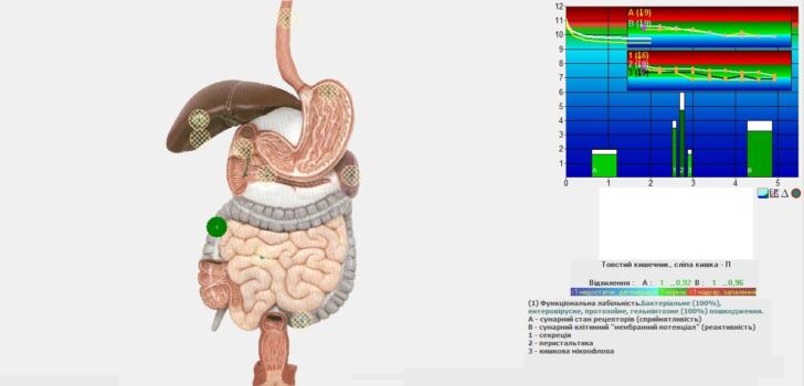 Визначення природи та ступеню токсичного навантаження Визначення природи та ступеню токсичного навантаження